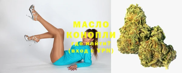 индика Балабаново