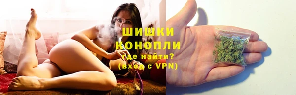 ГАЛЛЮЦИНОГЕННЫЕ ГРИБЫ Белокуриха