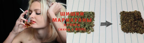 индика Балабаново