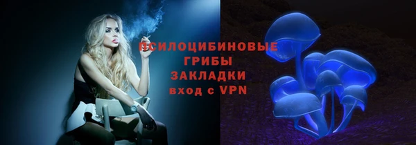 ГАЛЛЮЦИНОГЕННЫЕ ГРИБЫ Белокуриха