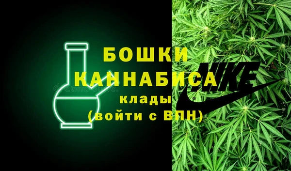 ГАЛЛЮЦИНОГЕННЫЕ ГРИБЫ Белокуриха