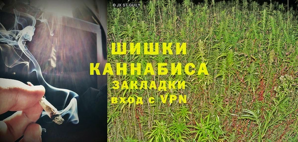 ГАЛЛЮЦИНОГЕННЫЕ ГРИБЫ Белокуриха